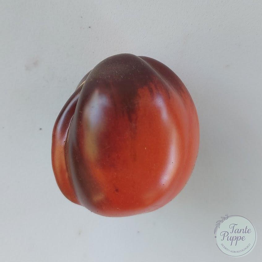 Tomate Corazón rojo y azul