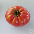 Tomate Costoluto Fiorentino