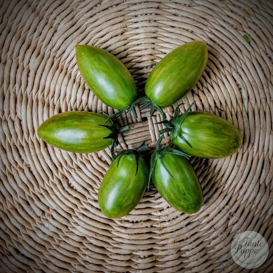 Tomate Green Tiger