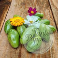 Tomate Green Sauvage
