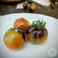 Tomate Indigo Rose