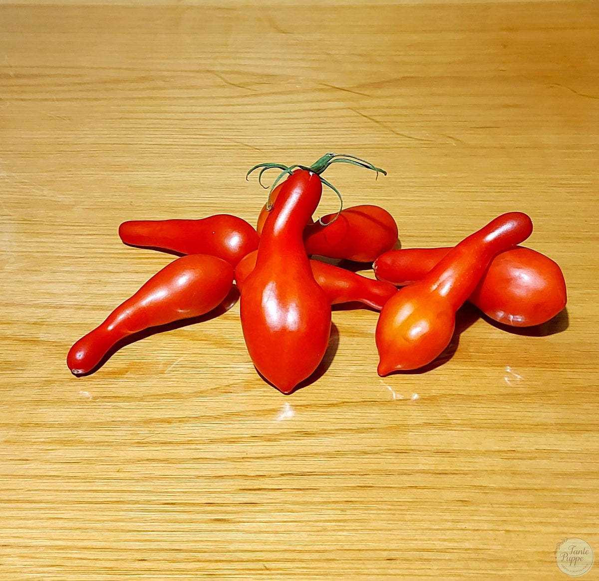 Tomate Long John