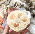 Luffa