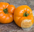Tomate Persimon