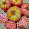 Tomate Pink German