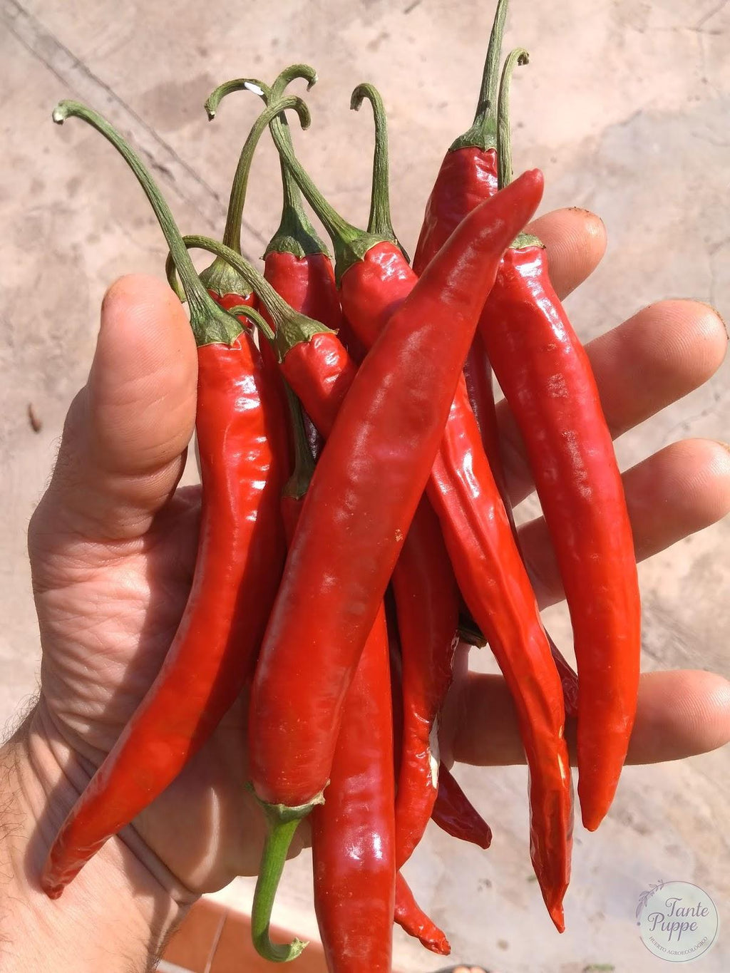 Pimienta de Cayena