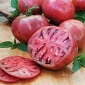 Tomate Purple Cherokee