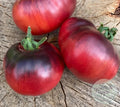 Tomate Blue wonder