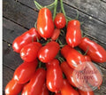 Tomate Flashen