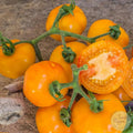Tomate Petit anana