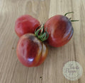 Tomate Princess