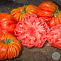 Tomate Riccio di parma