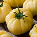 Tomate Sutton