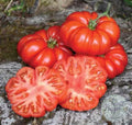 Tomate Tatu