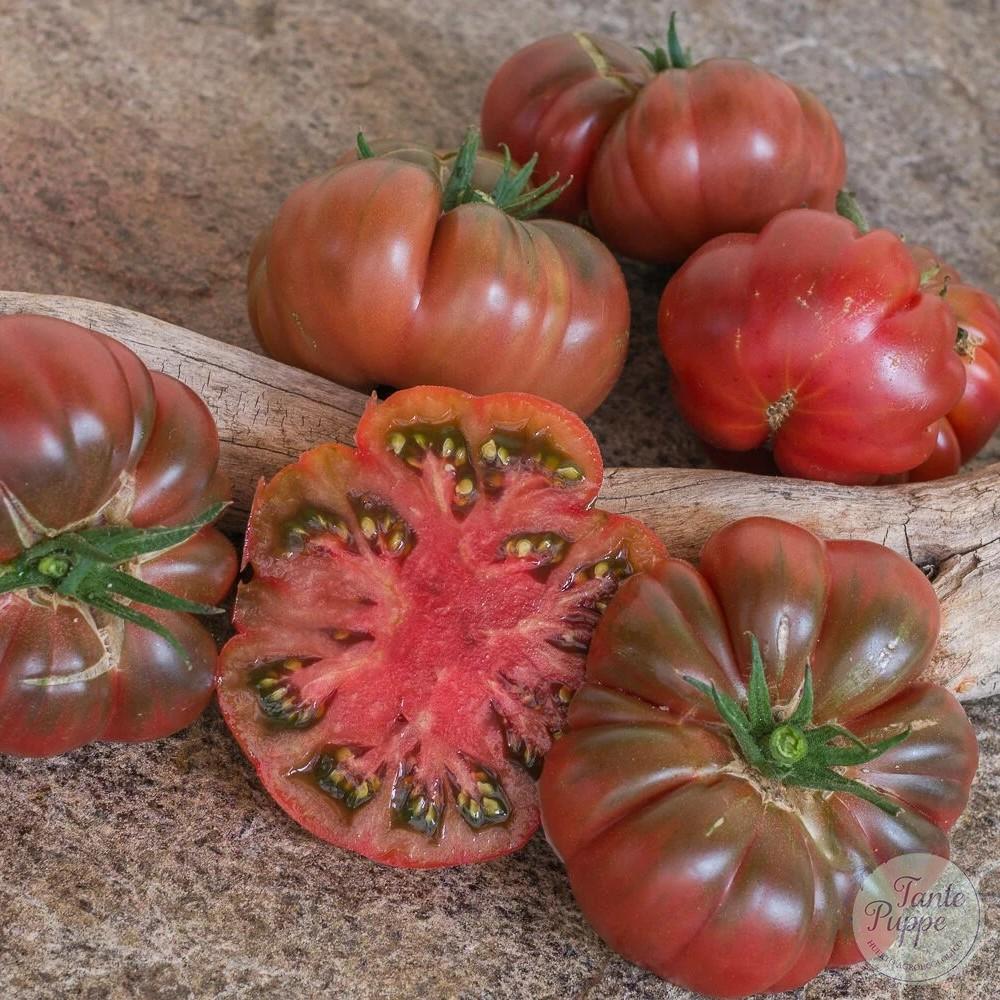 Tomate Tims black ruffled
