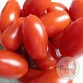 Tomate Zima long