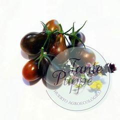 Tomate Teclas negras