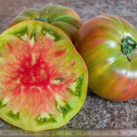 Tomate Ananas noire