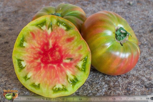 Tomate Ananas noir