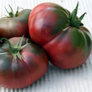 Tomate Black from Tula