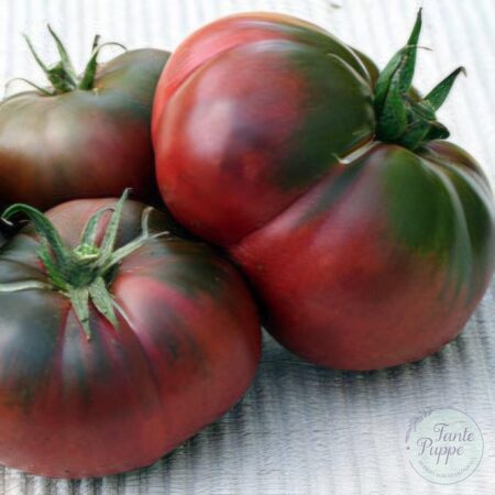 Tomate Black from Tula