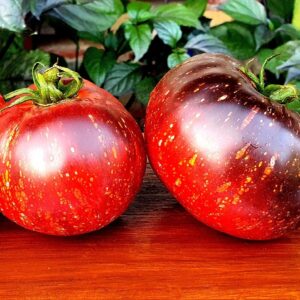 Tomate Dark Galaxy