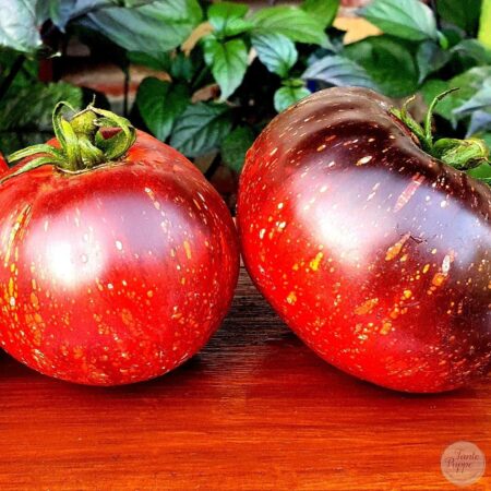 Tomate Dark Galaxy