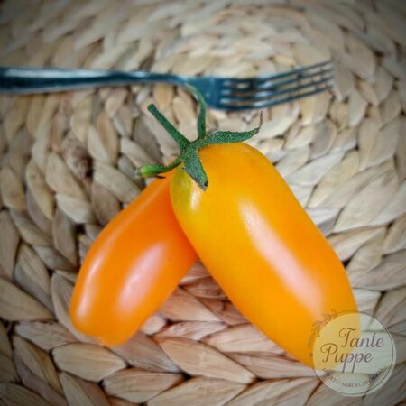 Tomate Banana Orange