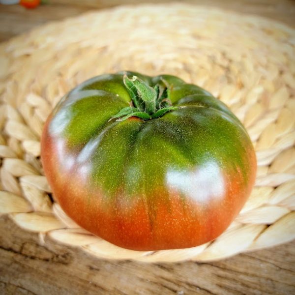 Tomate Black Cherokee