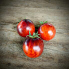tomate Dark tiger
