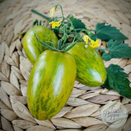 Tomate Dino Egg