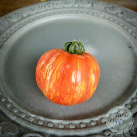Tomate Painted Lady