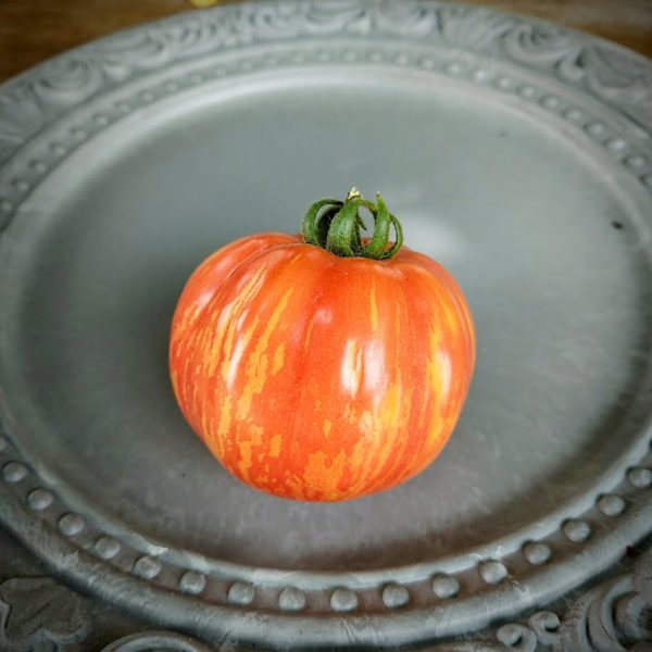 Tomate Painted Lady