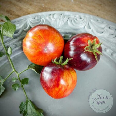 Tomate Persuasion