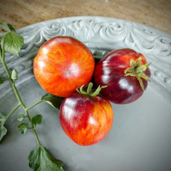 Tomate Persuasion