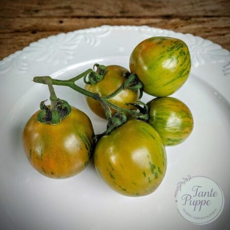Tomate Quebrada de sangre