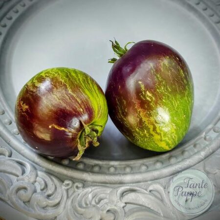 Tomate Rebel Starfighter Green
