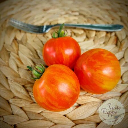 Tomate Red Zebra