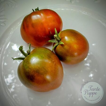 Tomate Rojo ucraniano
