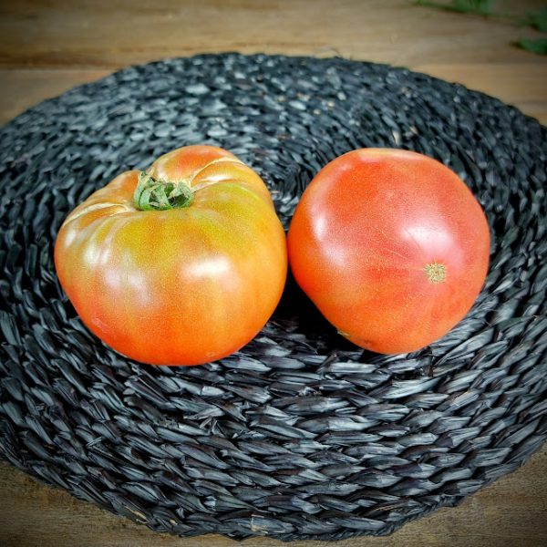 Tomate Rosado chilote