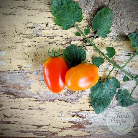 Tomate Siberiano
