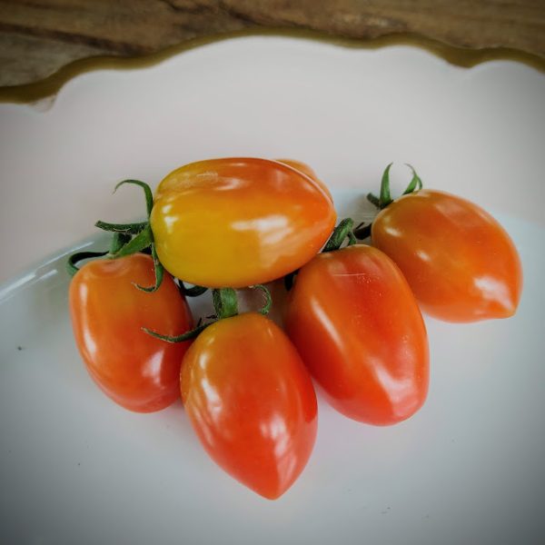 Tomate Sweet Candy