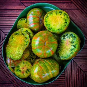 Tomate Berkeley Tie Dye Green