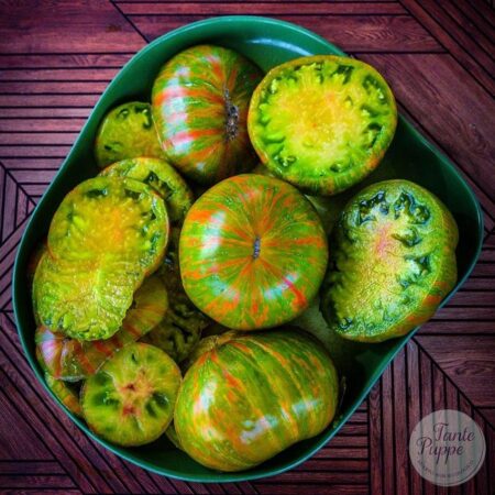 Tomate Berkeley Tie Dye Green