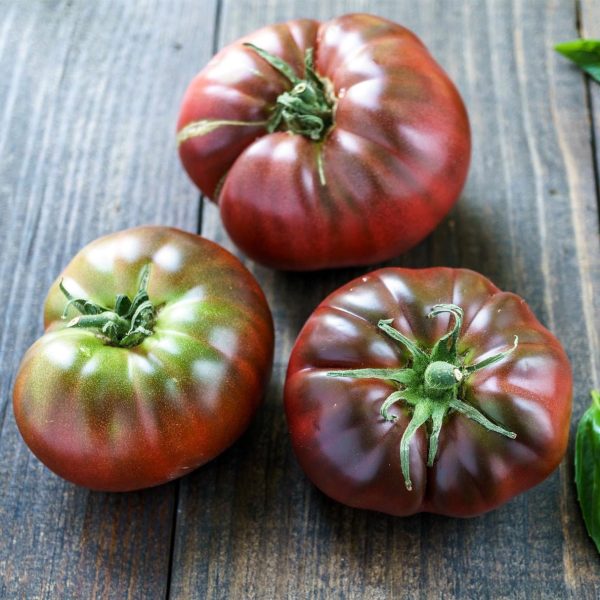 Tomate Black Brandywine