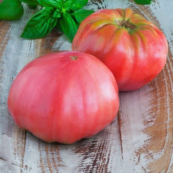 2023/02/1000168925.jpg 2023/02/1000168925.jpg