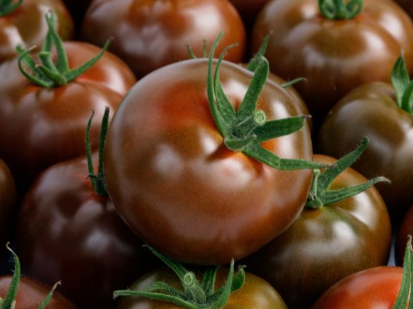 Tomate Kumato