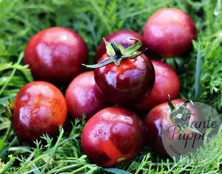 Tomate Blueberry