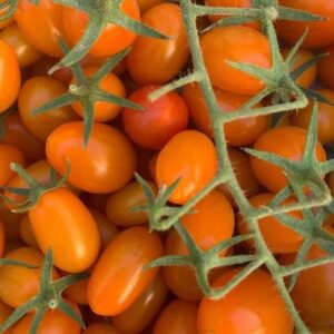 Tomate Cherry naranjo alemán
