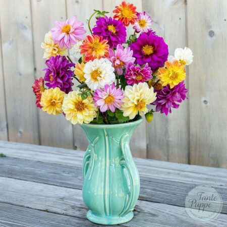 Dalias mix